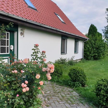 Oeko-Ferienhaus Rappin Exterior photo