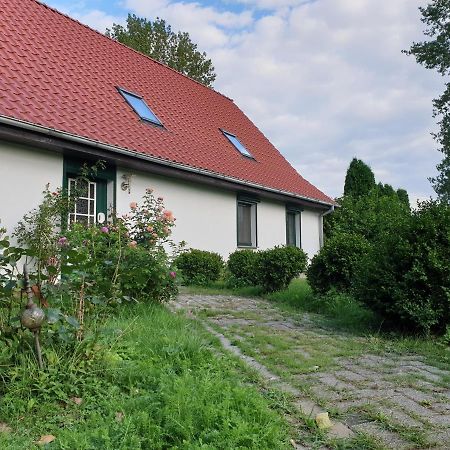 Oeko-Ferienhaus Rappin Exterior photo